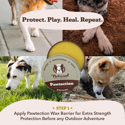 Pawtection Balm 1 Oz Tin – Dog Paw Protection with Shea Butter & Calendula – Shields Paws from Snow, Ice, Salt, Hot Pavement & Rough Terrain – Lick-Safe, All Breeds